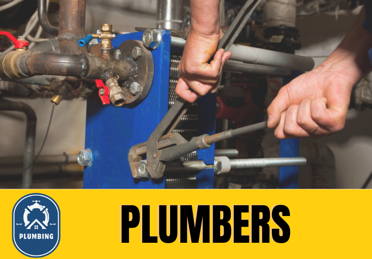  plumber Madginford